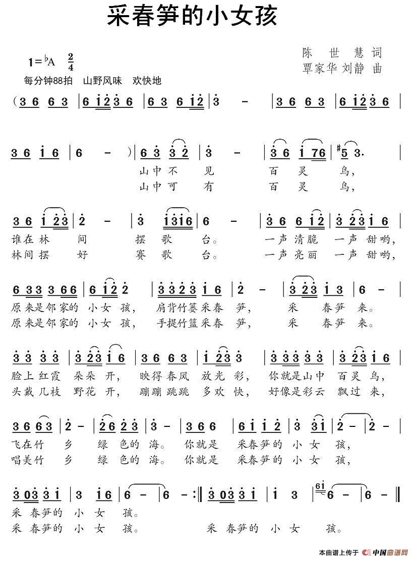 ɴSСŮ(jin)V