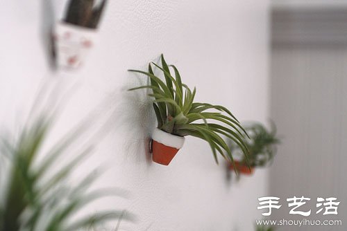 DIYֹԱN -  www.fasang.cn