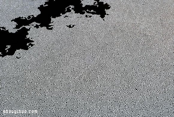 日本藝術家 Motoi Yamamoto 創意鹽畫 - www.fasang.cn
