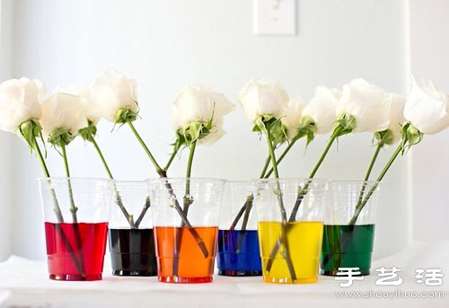 白色玫瑰染色 DIY七彩玫瑰花 - www.fasang.cn