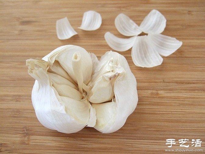 創意DIY:原來大蒜也能玩得這么有趣! - www.fasang.cn