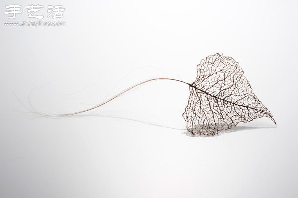 頭發(fā)絲編織落葉 宛如精致藝術(shù)品 - www.fasang.cn