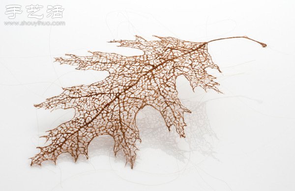 頭發(fā)絲編織落葉 宛如精致藝術(shù)品 - www.fasang.cn