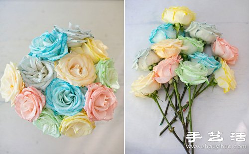 白色玫瑰染色 DIY七彩玫瑰花 - www.fasang.cn
