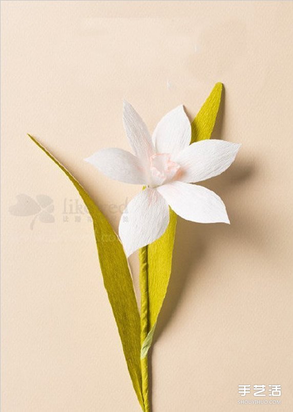 水仙花的折法圖解 折紙水仙花制作方法教程 - www.fasang.cn
