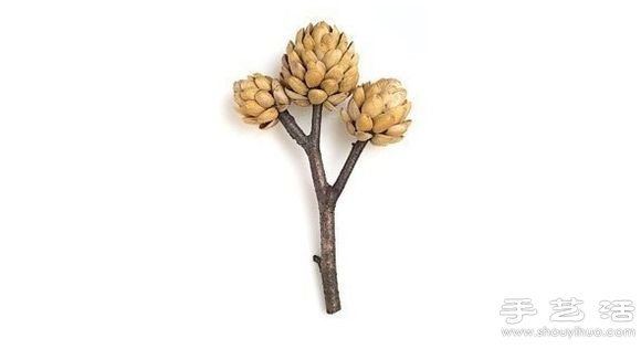 開心果殼+樹枝+橡皮泥 DIY裝飾堅果樹 - www.fasang.cn