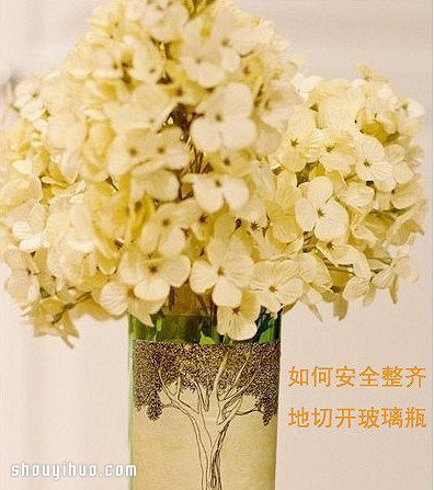 如何安全整齊切割玻璃瓶 廢物利用DIY花瓶 - www.fasang.cn