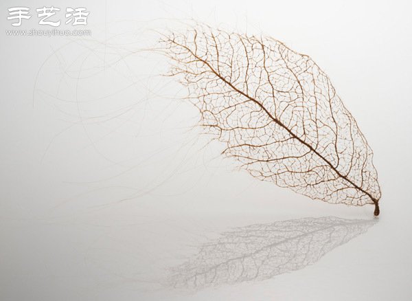 頭發(fā)絲編織落葉 宛如精致藝術(shù)品 - www.fasang.cn