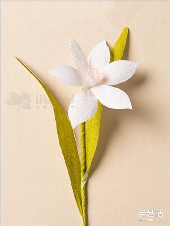水仙花的折法圖解 折紙水仙花制作方法教程 - www.fasang.cn