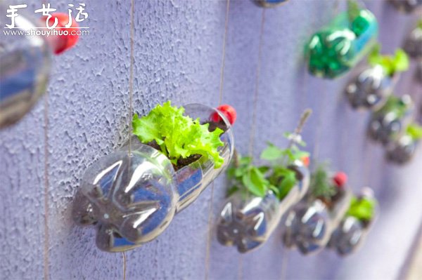DIYϵĴֱƿ@ -  www.fasang.cn