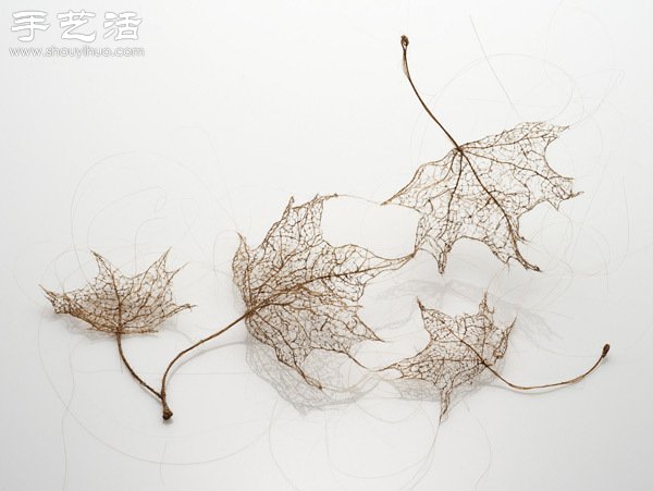 頭發(fā)絲編織落葉 宛如精致藝術(shù)品 - www.fasang.cn