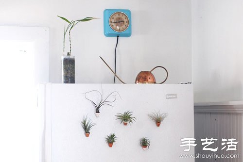 DIYֹԱN -  www.fasang.cn