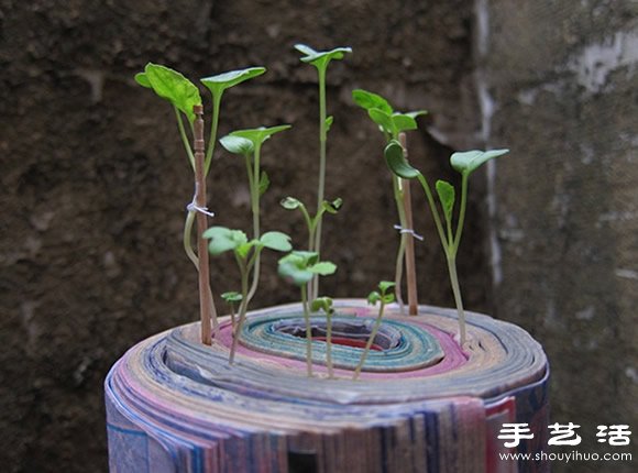 Uf U÷Nֲ} -  www.fasang.cn