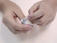 自制玩具小沙包 小沙包的制作和玩法 - www.fasang.cn