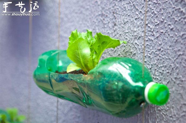 DIYϵĴֱƿ@ -  www.fasang.cn