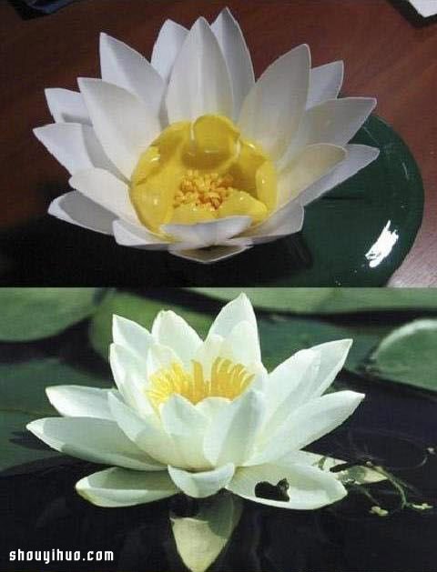 塑料瓶變廢為寶手工制作漂亮蓮花 - www.fasang.cn