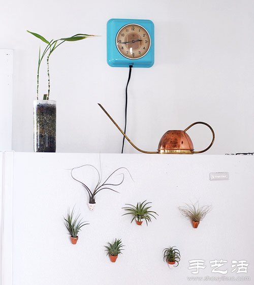 DIYֹԱN -  www.fasang.cn