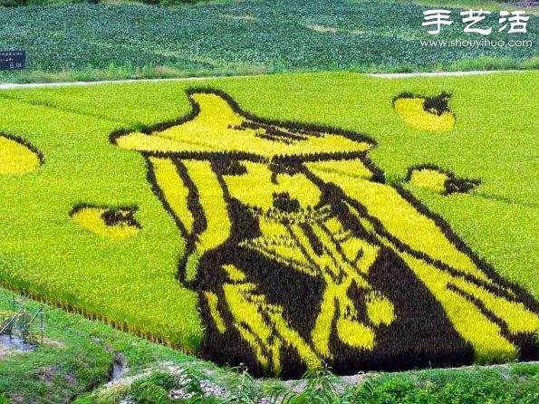 奇妙有趣創(chuàng)意DIY 稻田里創(chuàng)作巨幅畫(huà)卷 - www.fasang.cn