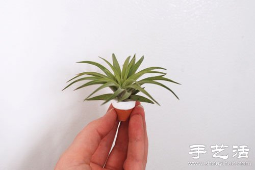 DIYֹԱN -  www.fasang.cn
