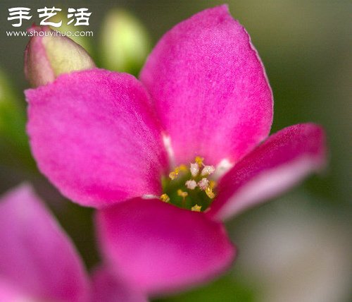 ֹ_(d)˺(jin)DIYh(hun)W -  www.fasang.cn