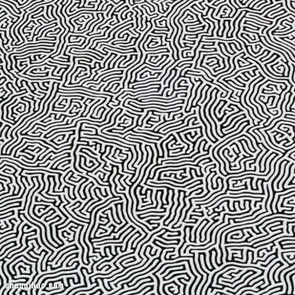 日本藝術家 Motoi Yamamoto 創意鹽畫 - www.fasang.cn