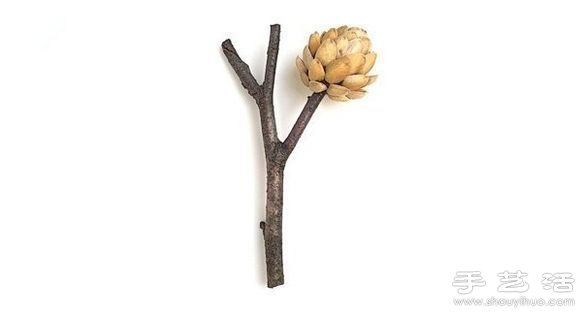 開心果殼+樹枝+橡皮泥 DIY裝飾堅果樹 - www.fasang.cn