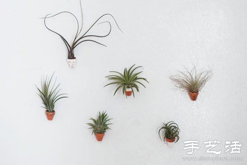 DIYֹԱN -  www.fasang.cn