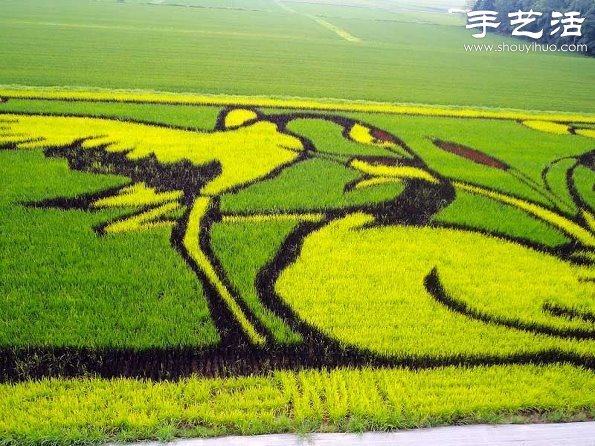 奇妙有趣創(chuàng)意DIY 稻田里創(chuàng)作巨幅畫(huà)卷 - www.fasang.cn